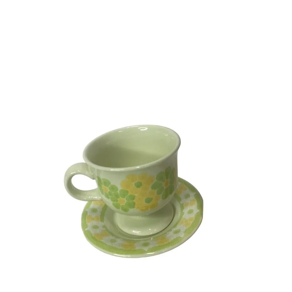 Vintage‎ MCM Franciscan Earthenware Picnic Pattern Footed Cup & Saucer Set